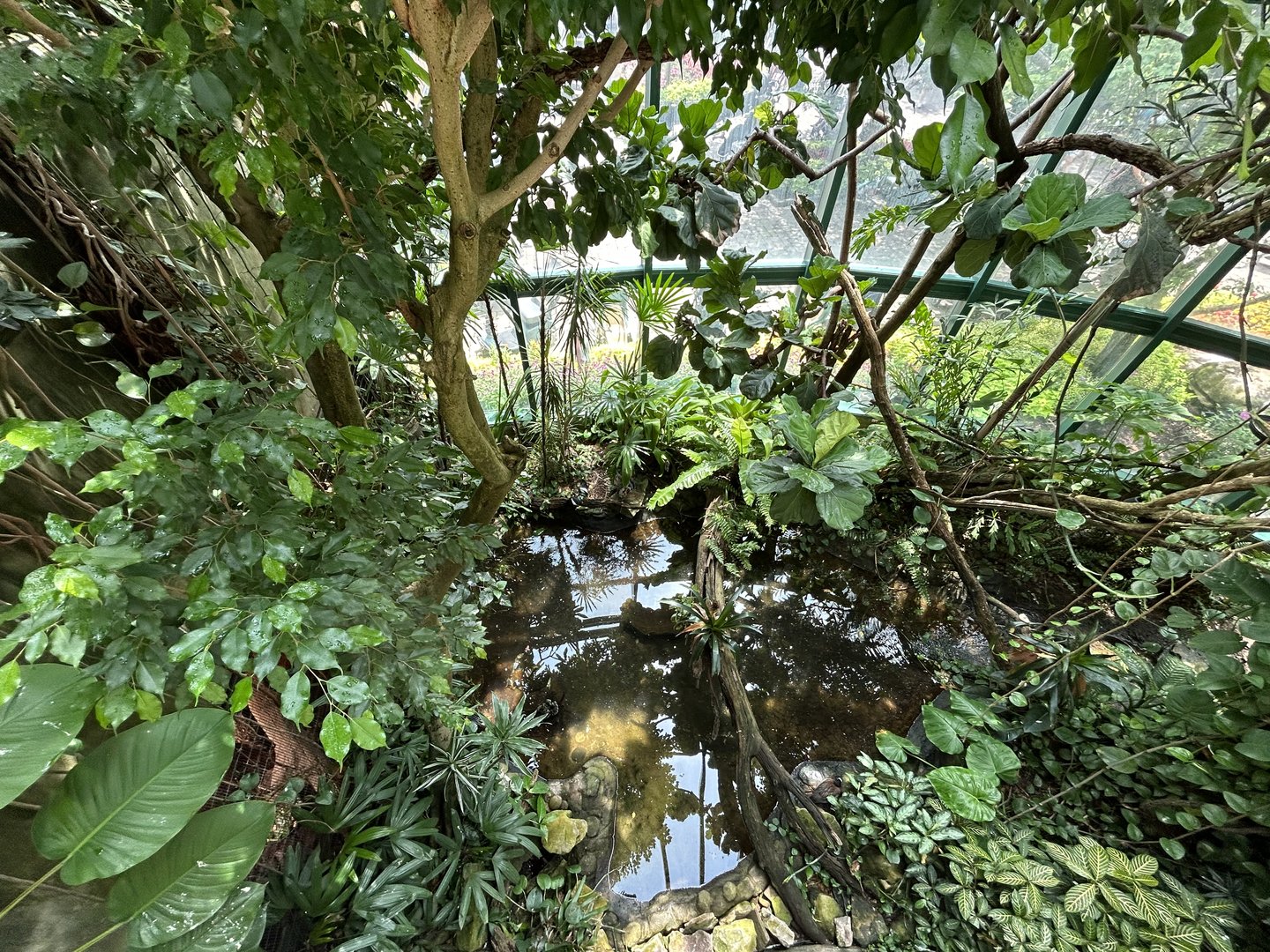 Aviary (13 Species) - Unseen New World