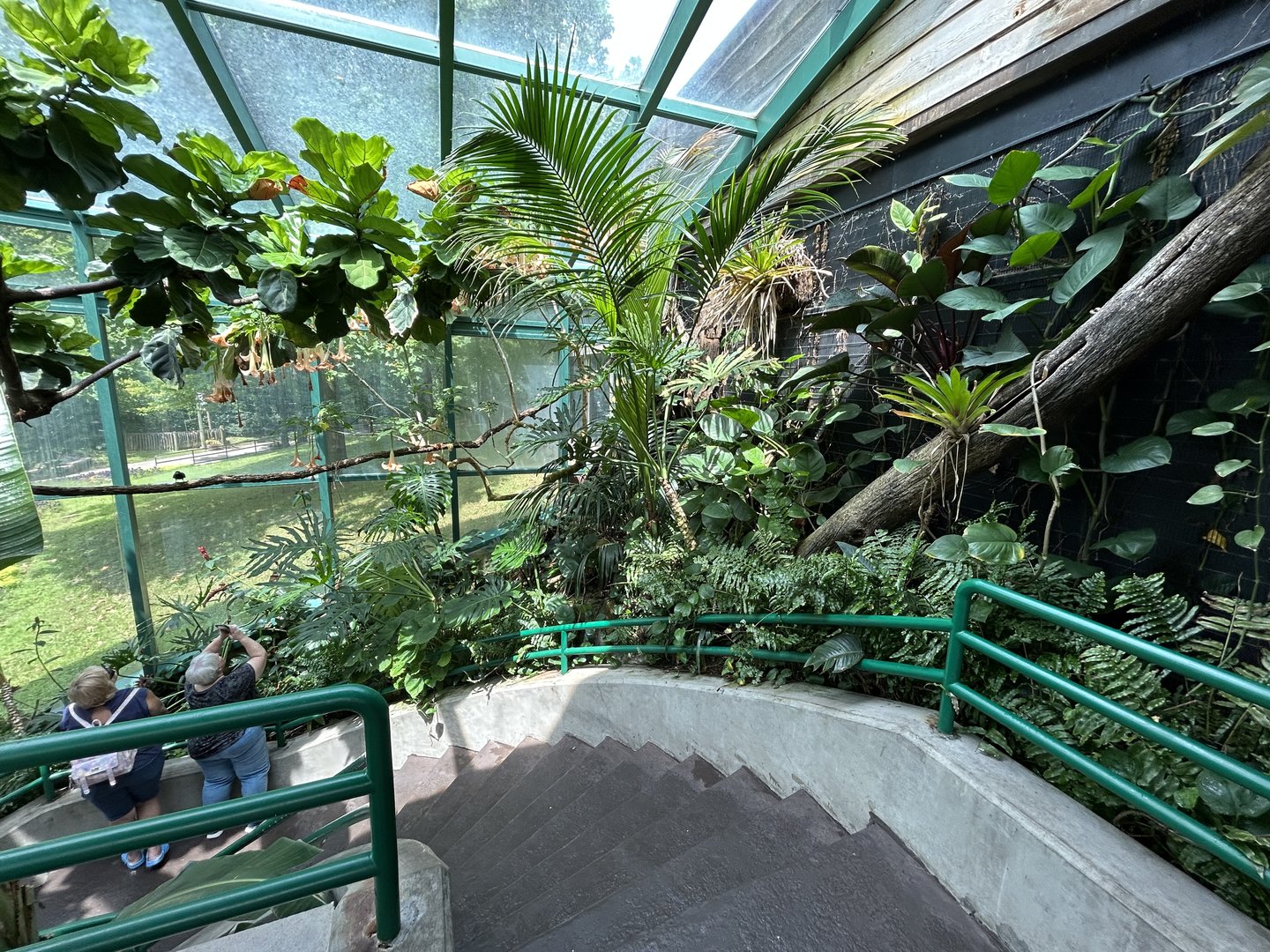 Aviary (13 Species) - Unseen New World