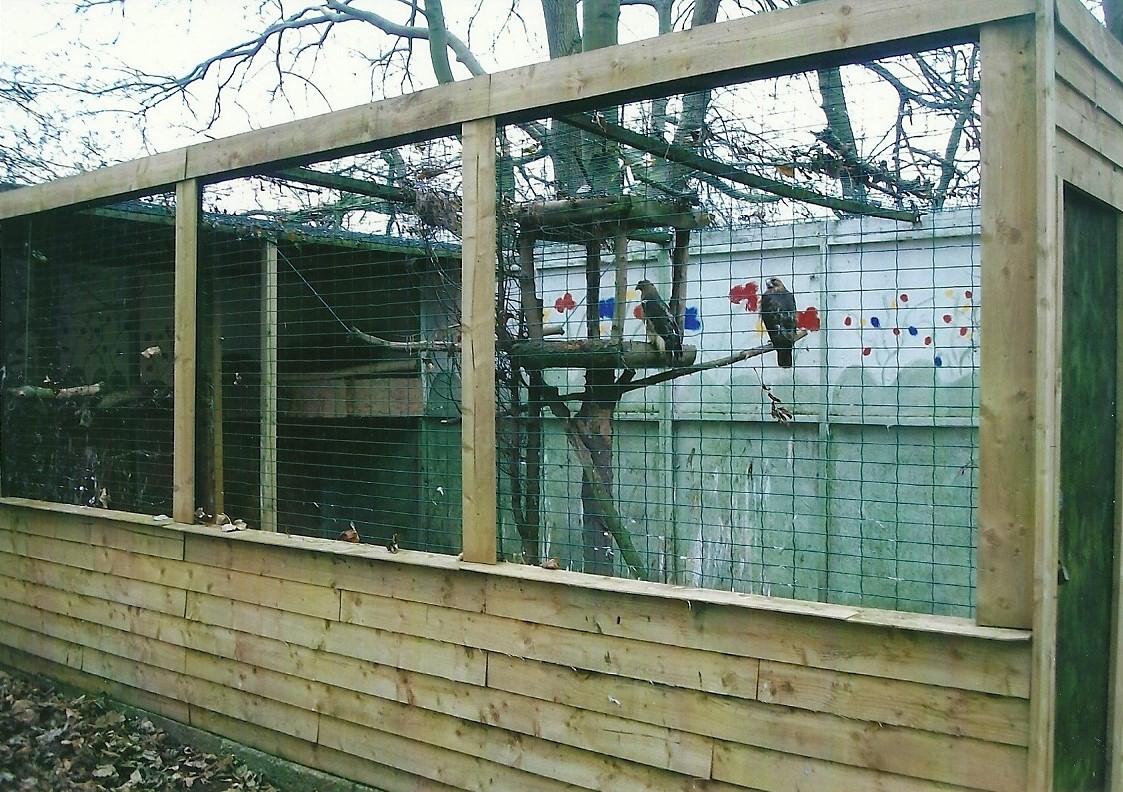 Aviary, 1st November 2013