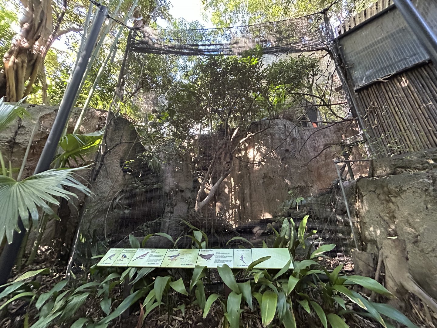 Aviary (6 species) - Gorilla Tropics