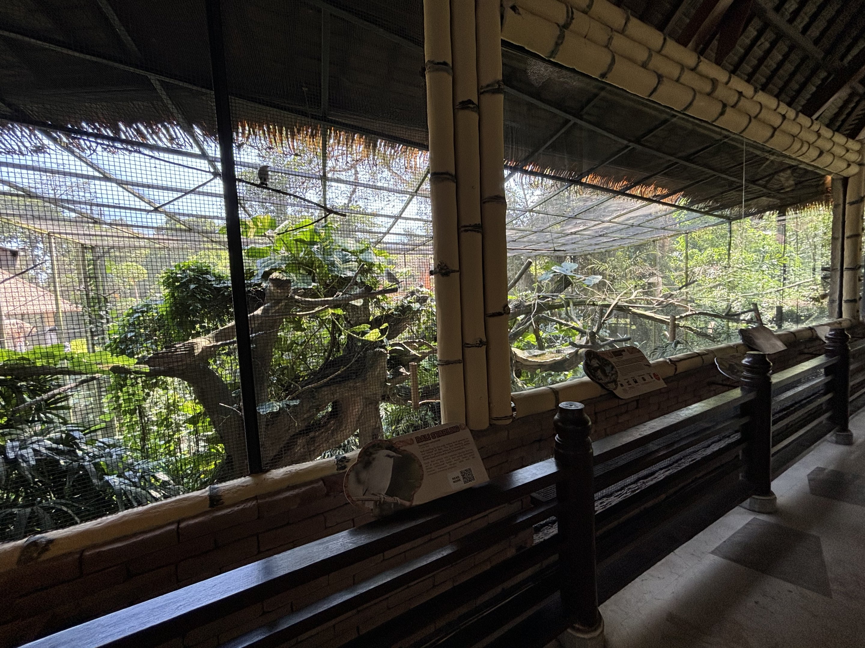 Aviary (6 species)