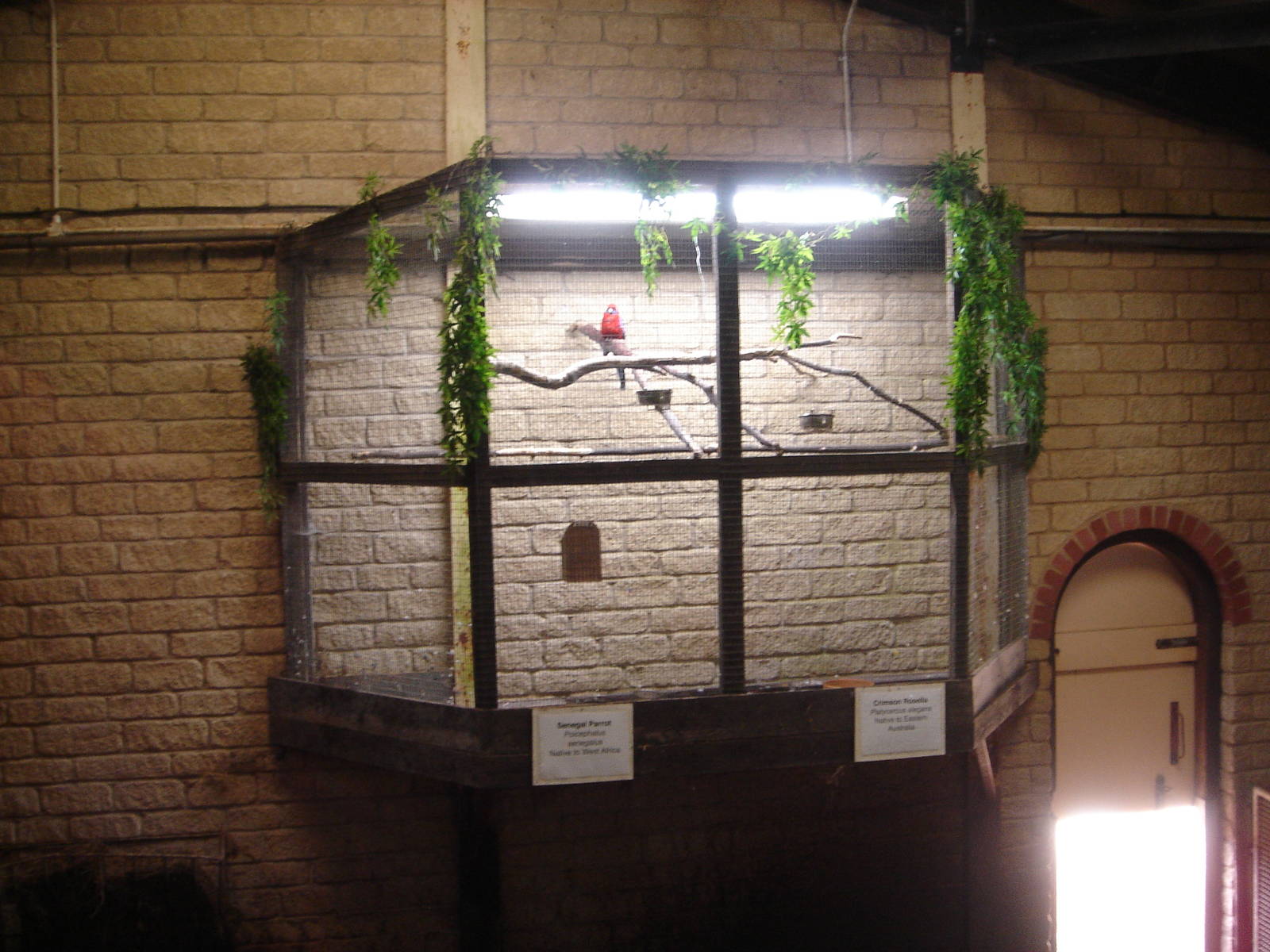 Aviary above Pygmy Hippos enclosure 2009