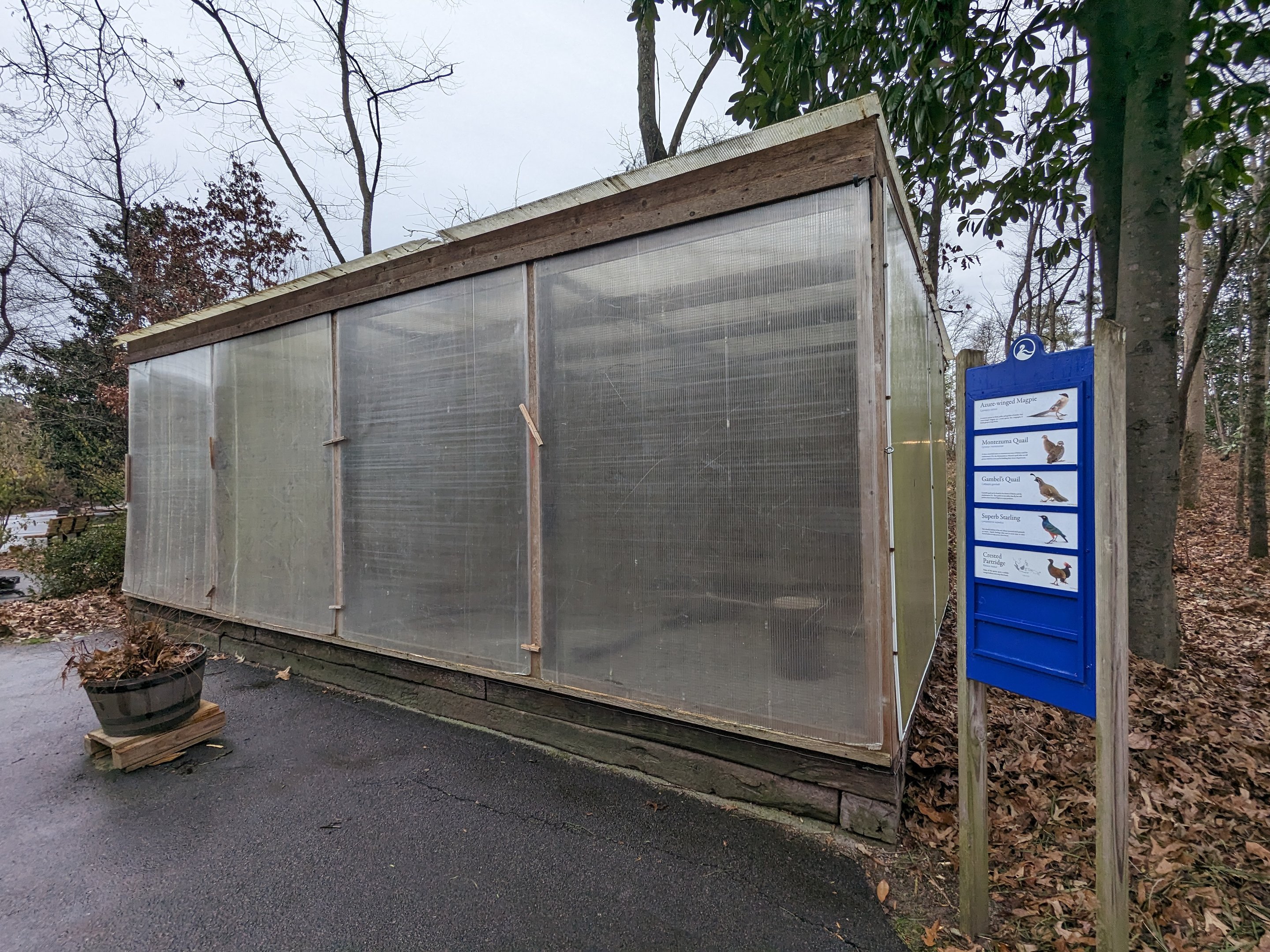 Aviary across from Australia aviary