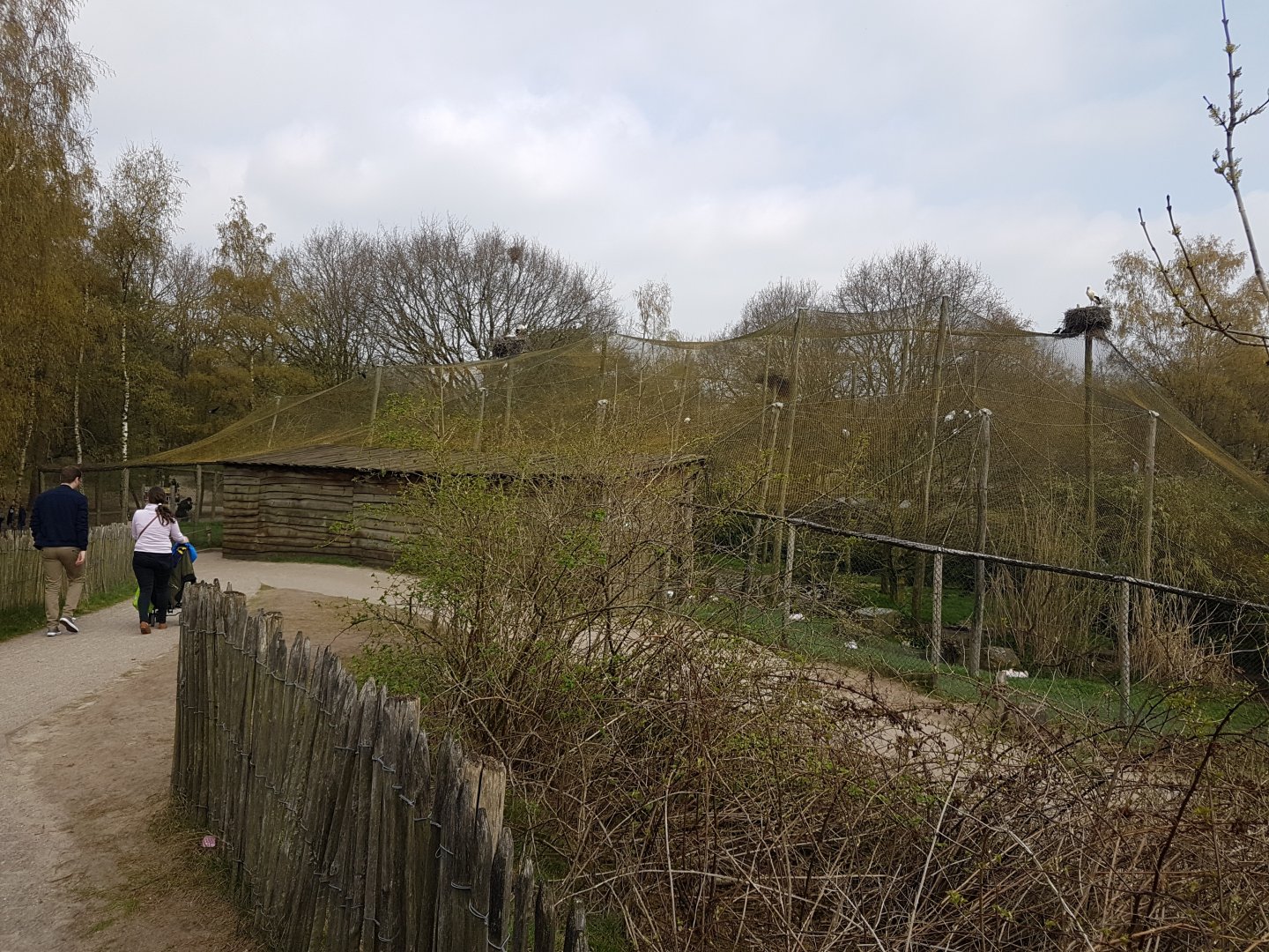 Aviary African birds