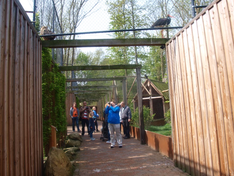 Aviary and path (May 2nd, 2015)