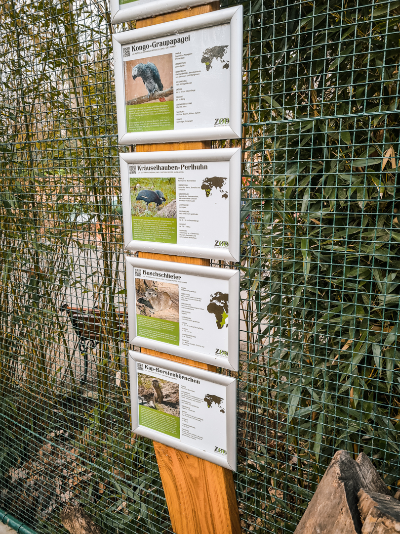 Aviary animals sign