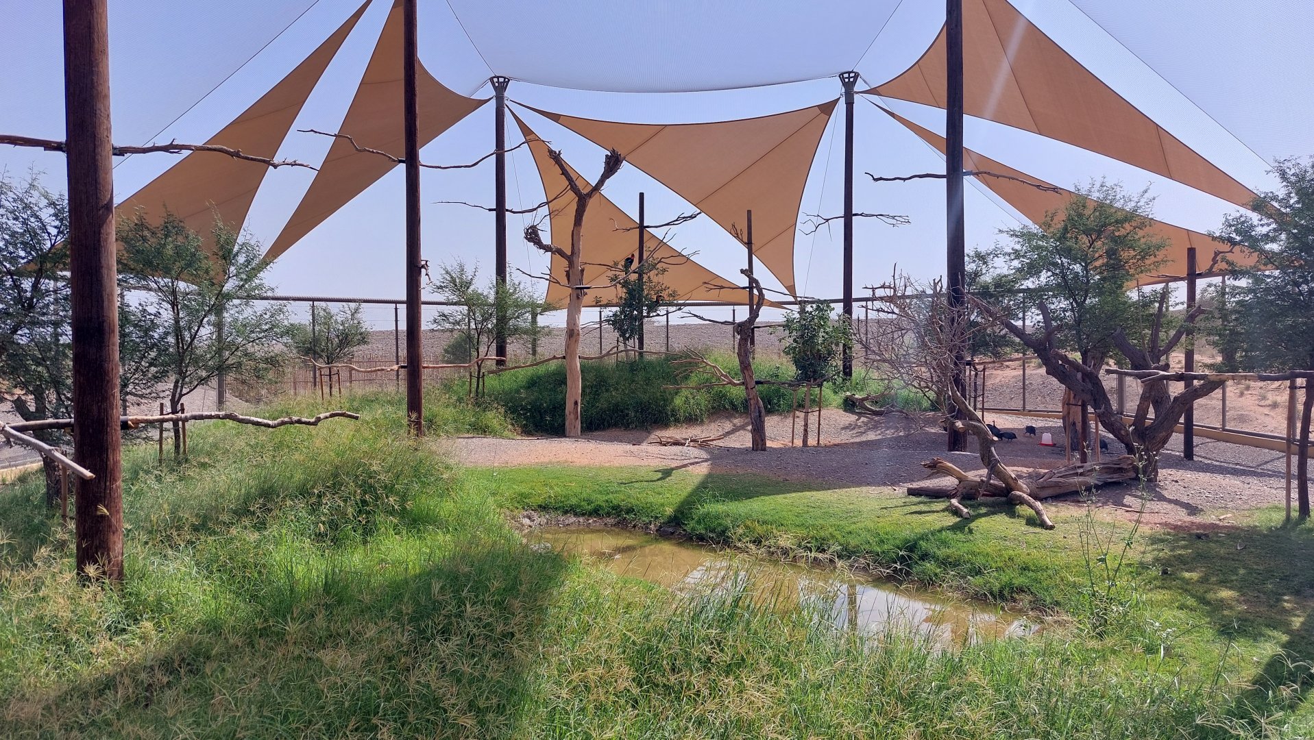 Aviary at Basecamp with Ground Hornbill