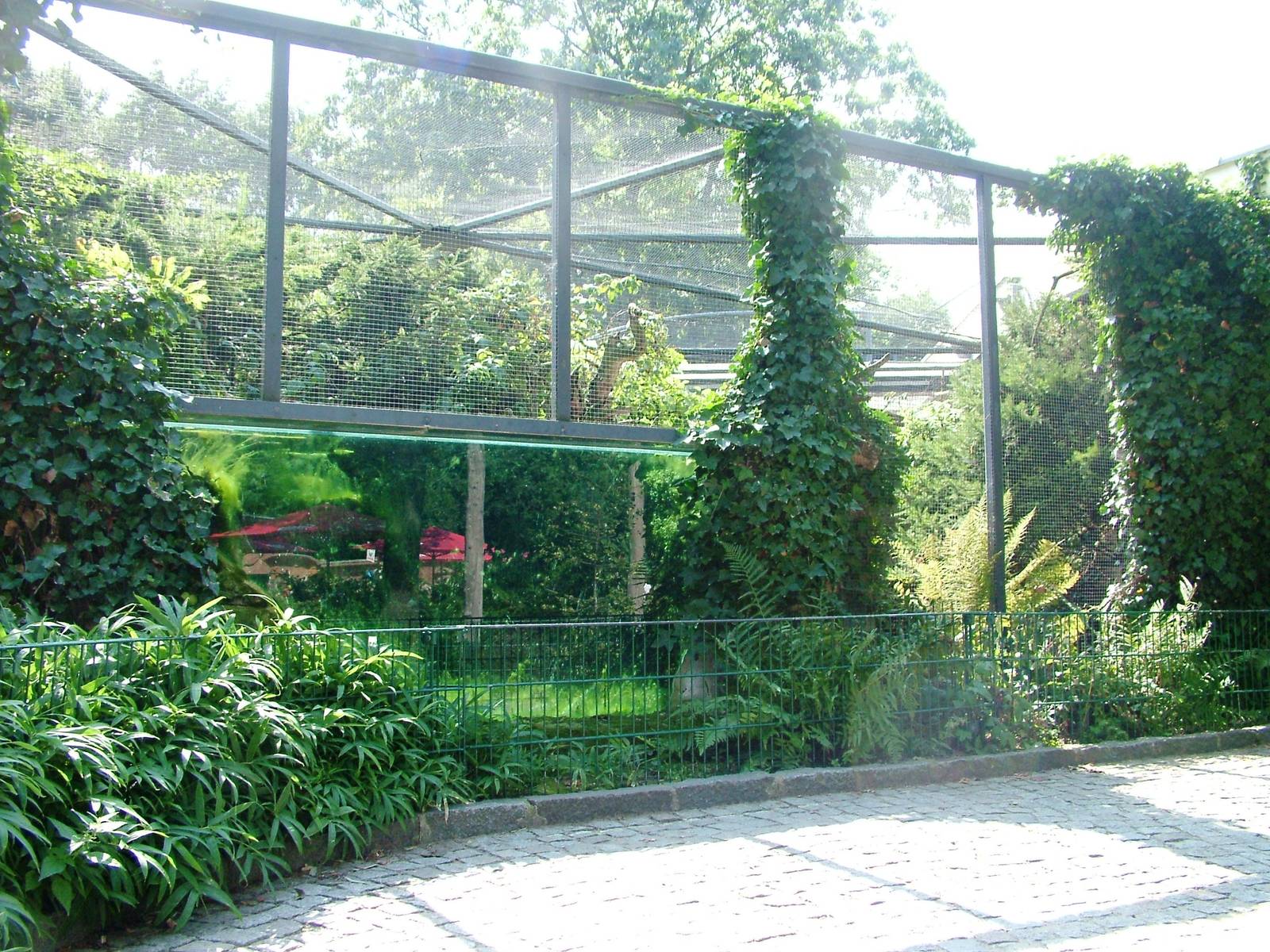 Aviary at Dresden, 29/08/12