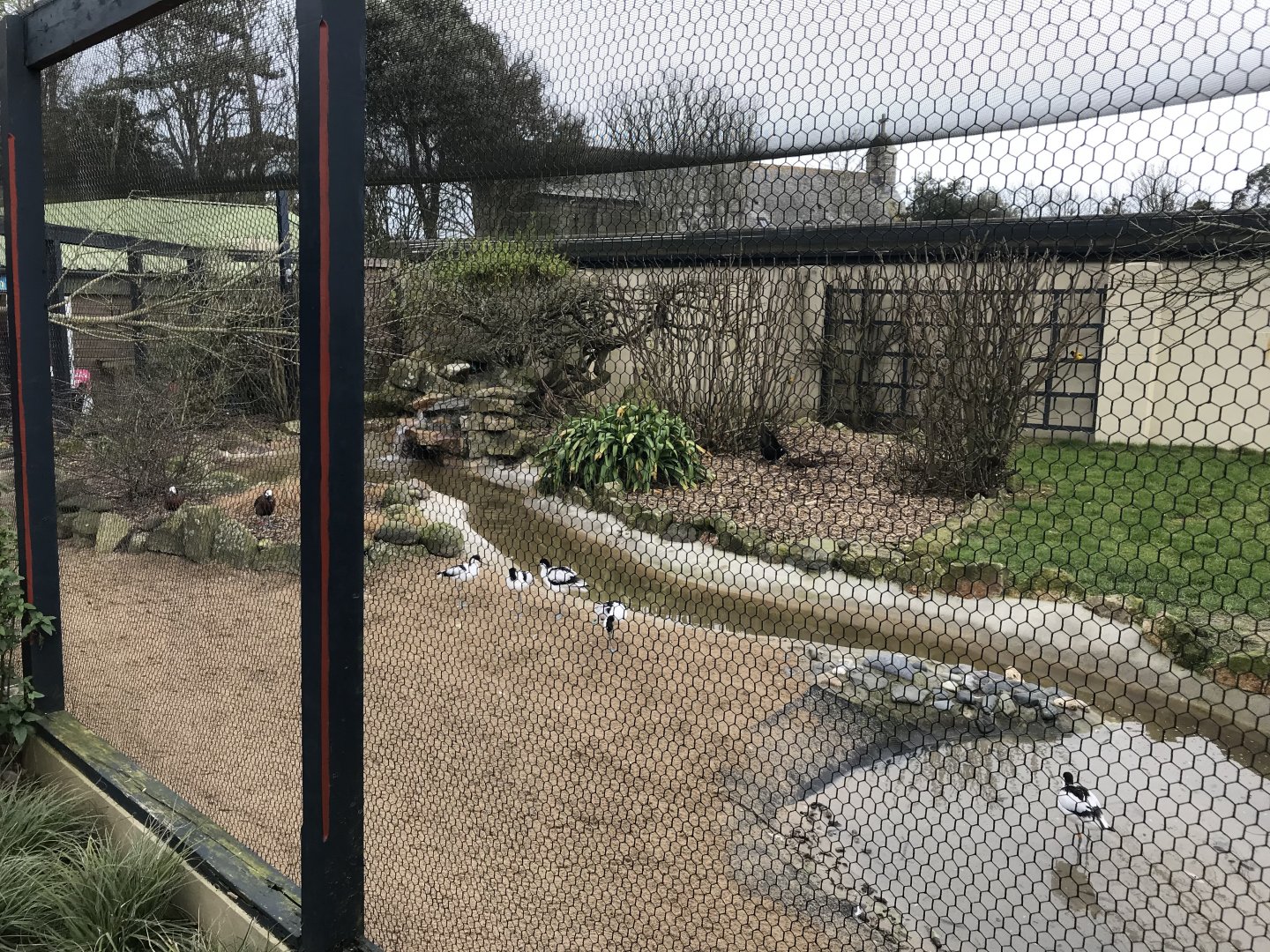 Aviary at entrance 190219