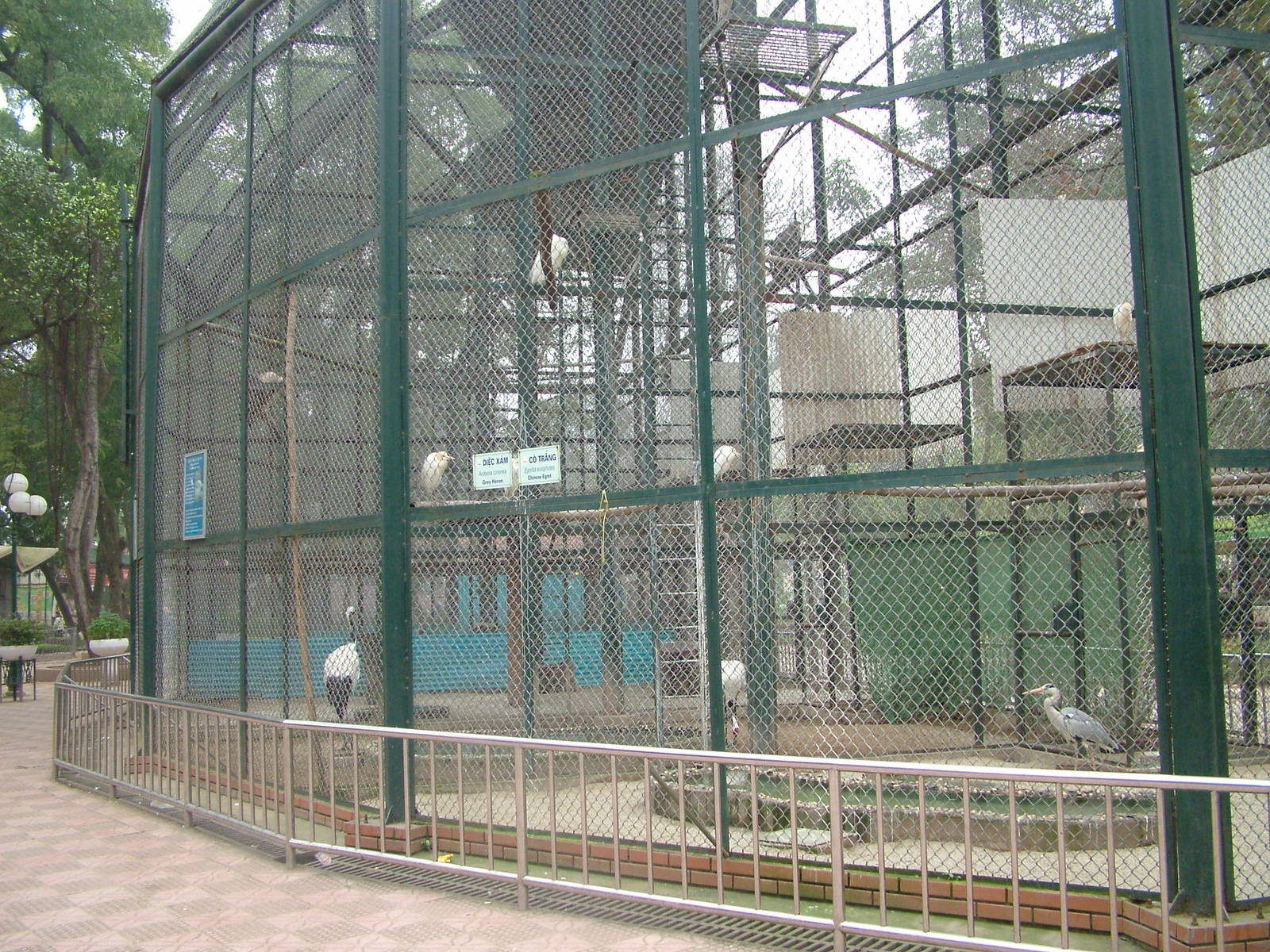 Aviary at Hanoi Zoo, 15/03/12