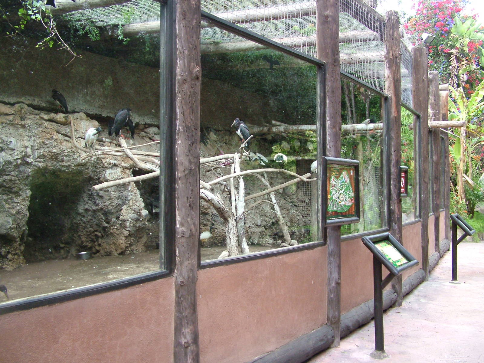 Aviary at Jungle Park (Las Aguilas), 13/11/10