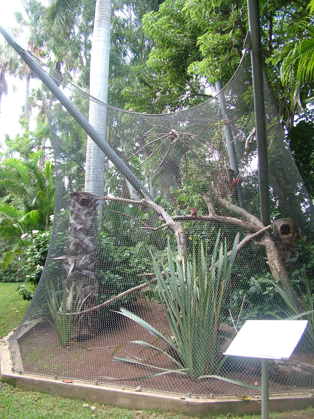 Aviary at Loro Parque, 08/11/10