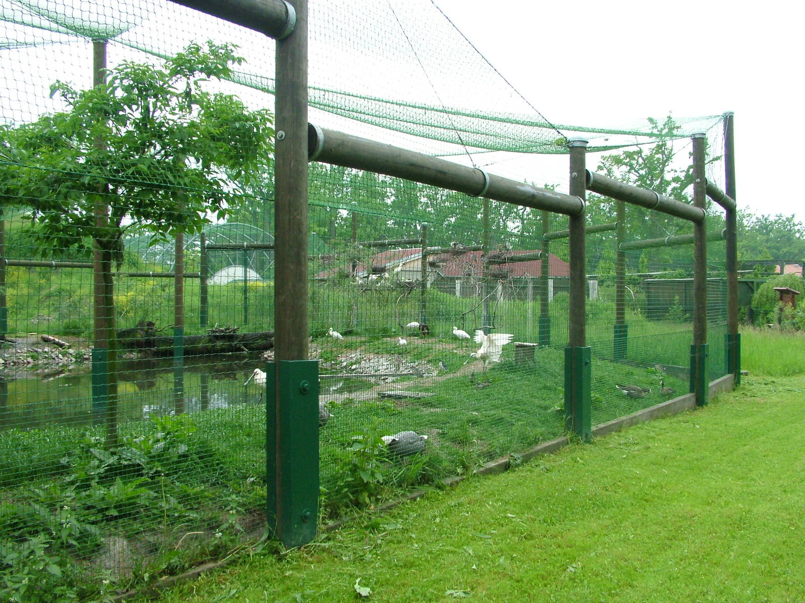 Aviary at Ohrada, 26/05/10