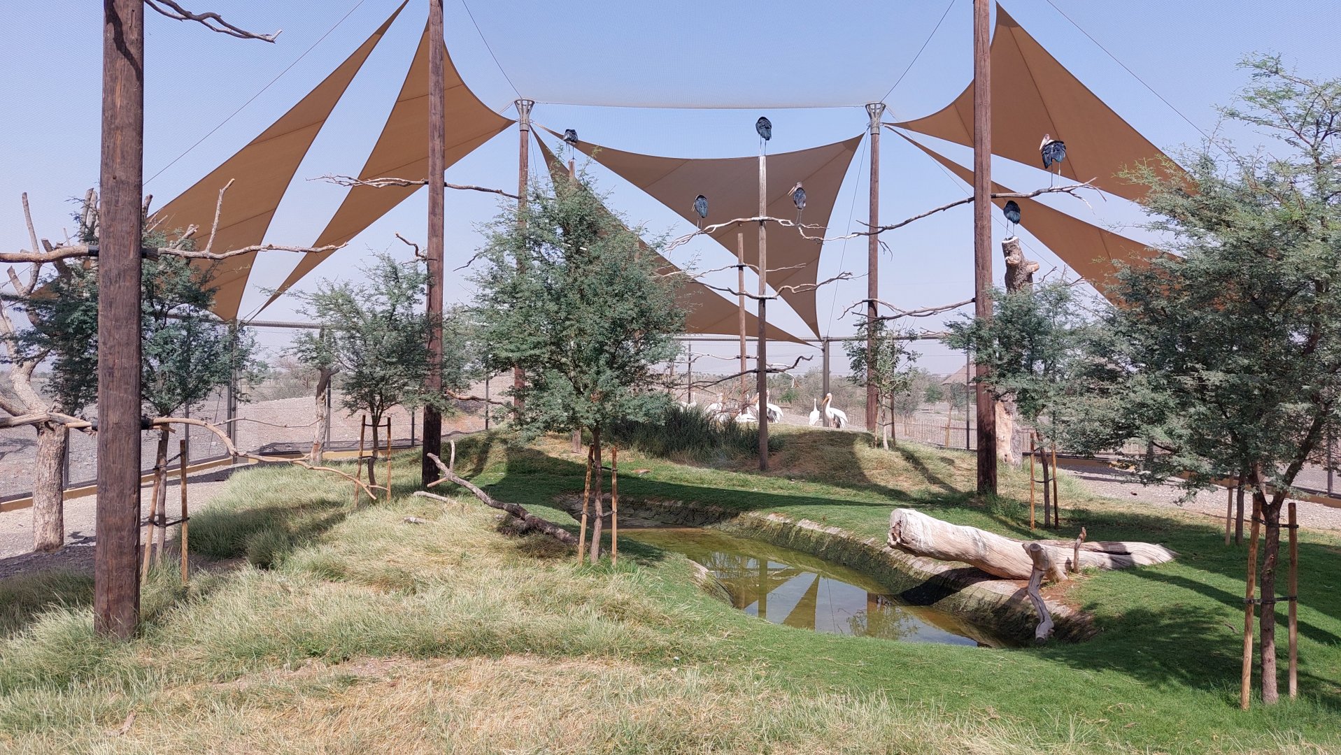 Aviary at Safari camp
