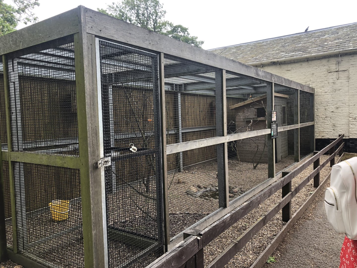 Aviary at Sewerby Zoo (June 2023)