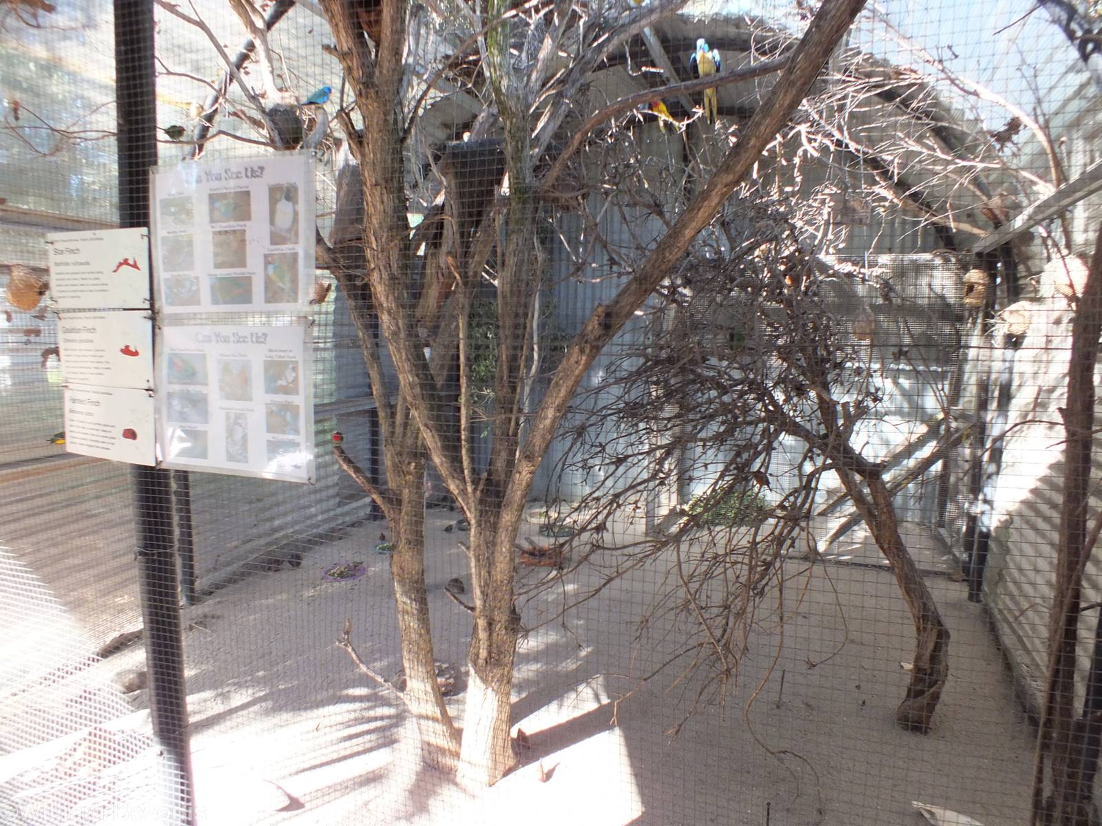 Aviary at the Entrance for Small Birds