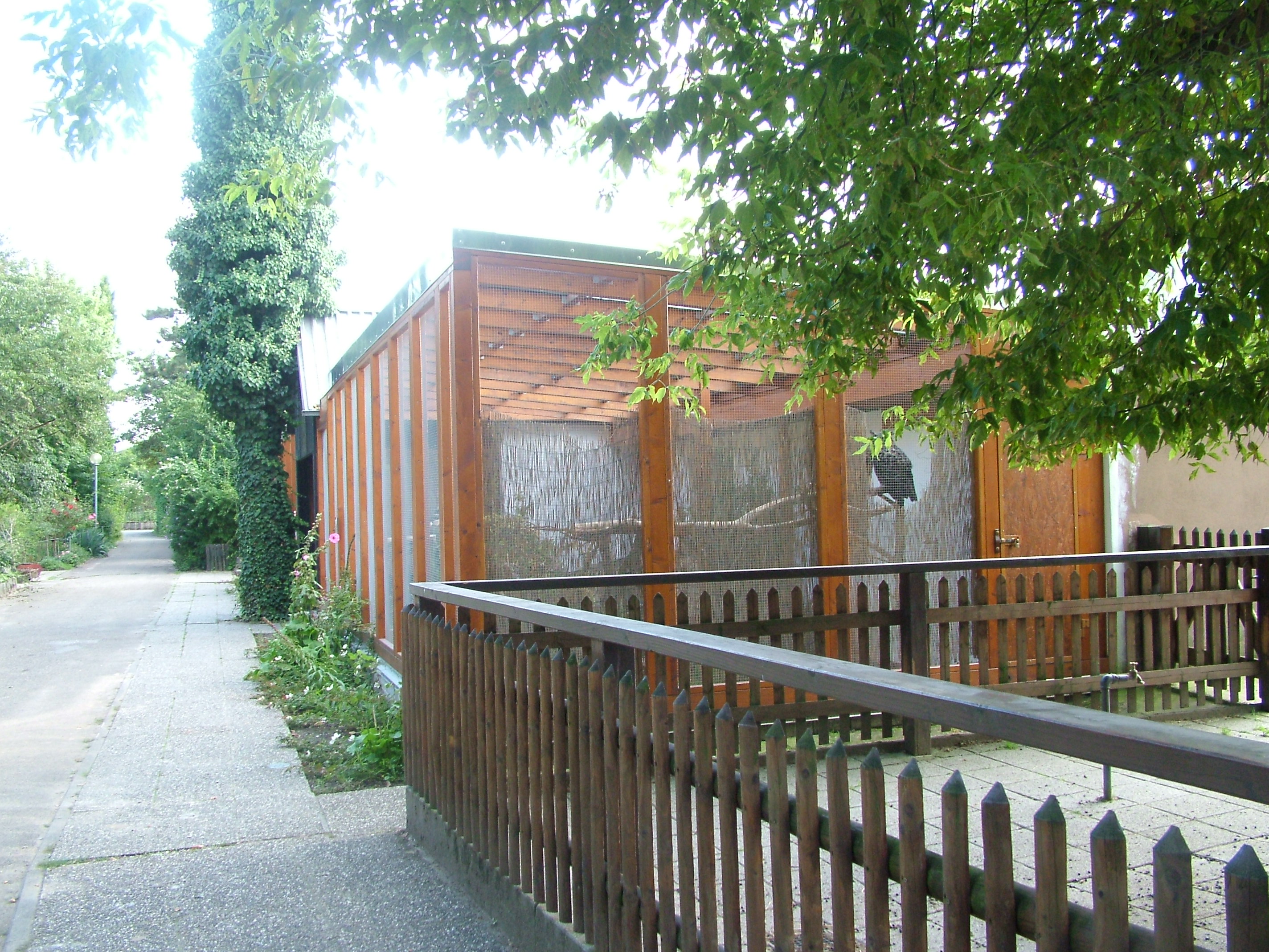 Aviary at Vogelpark Heglachaue, 3rd Sept 2010