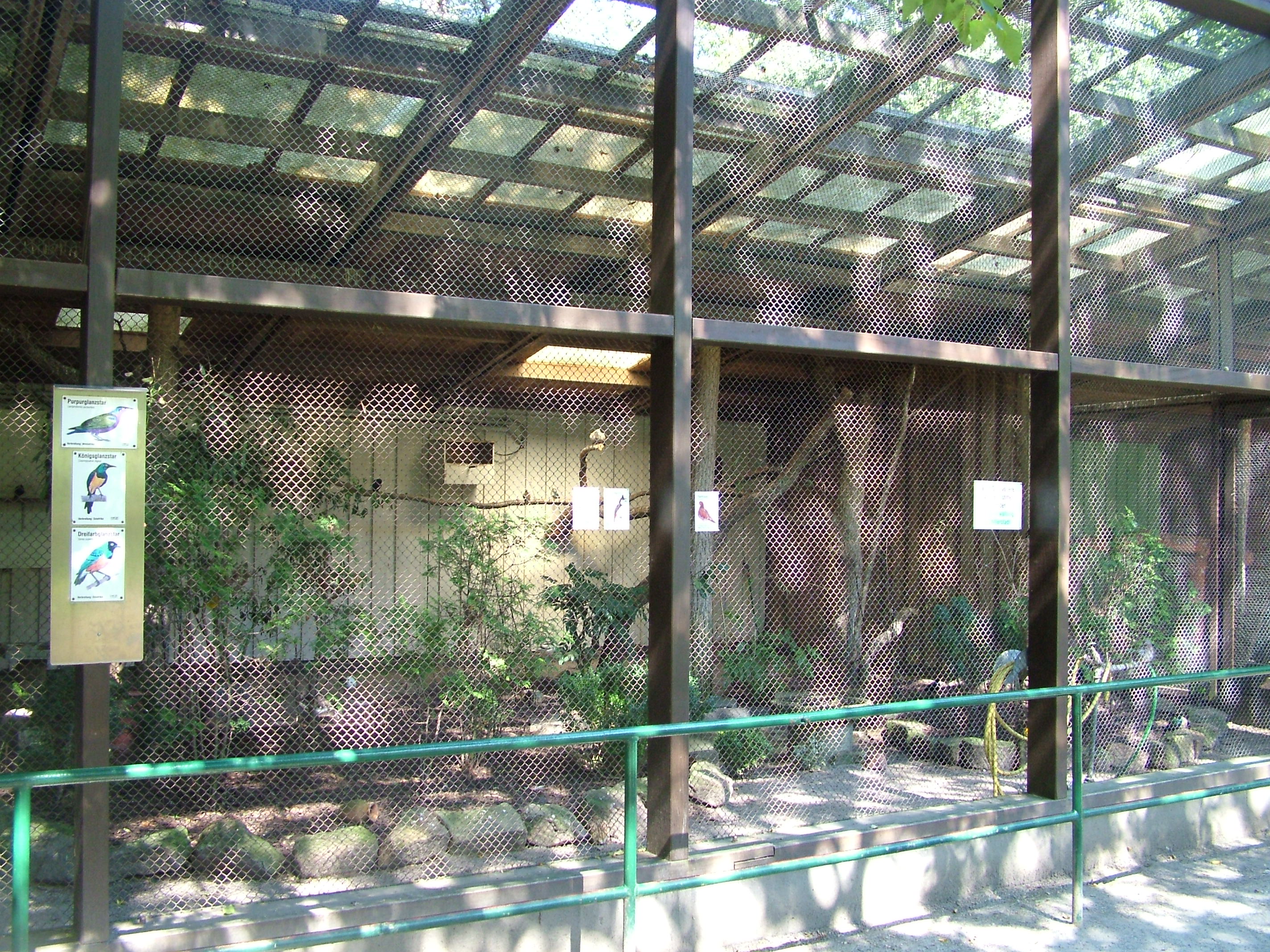 Aviary at Vogelpark Schifferstadt, 6th Sept 2010