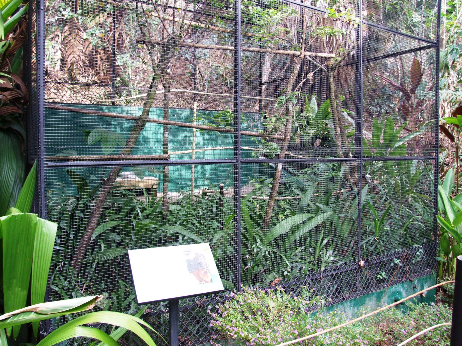 Aviary at Zoo Simon Bolivar, 12/04/14