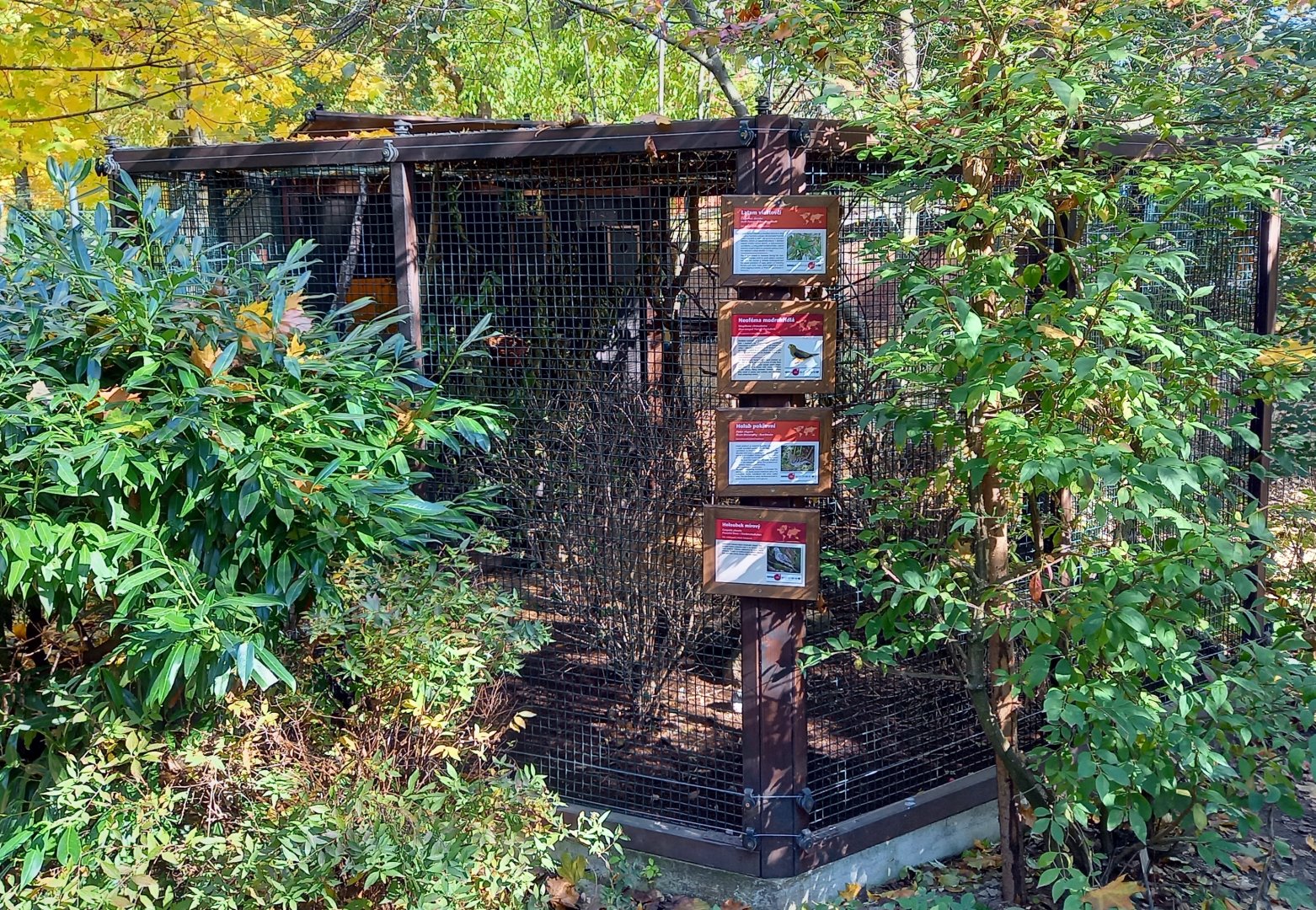 Aviary Australian bird-species