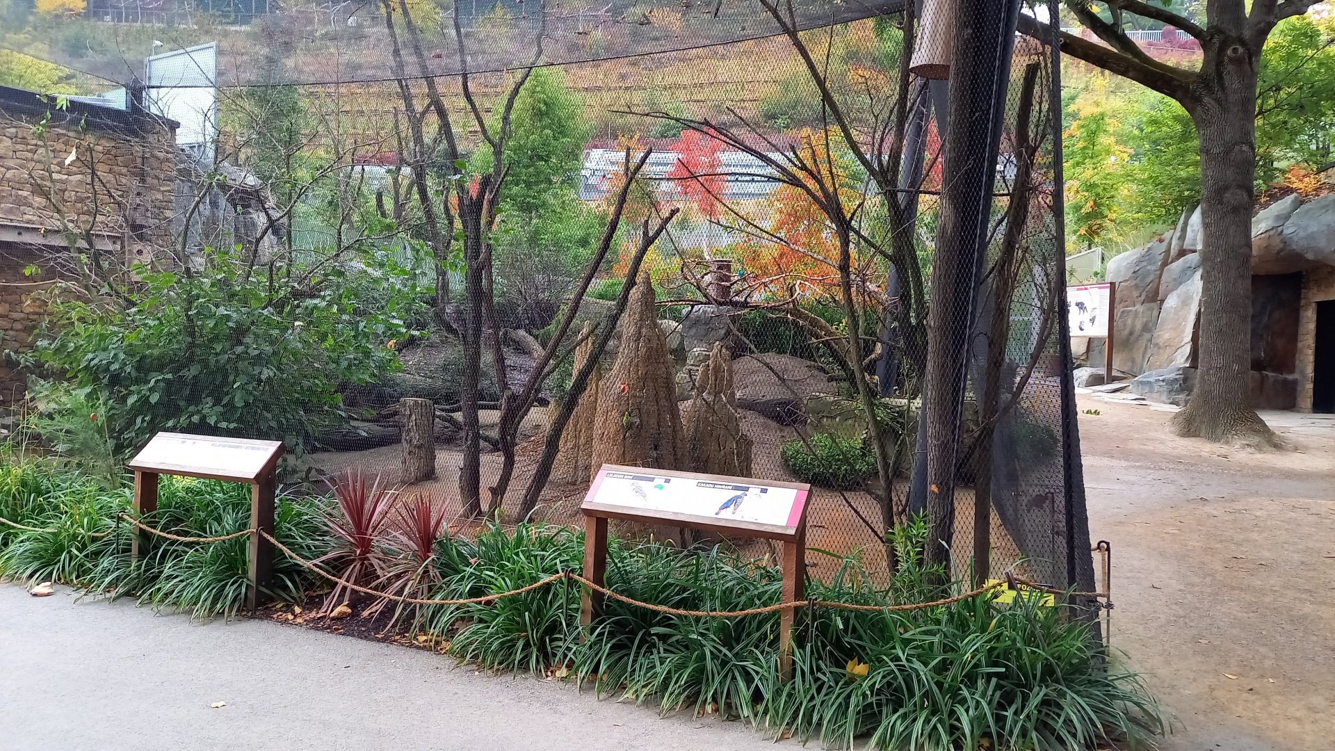 Aviary Australian birds in the Darwin Crater