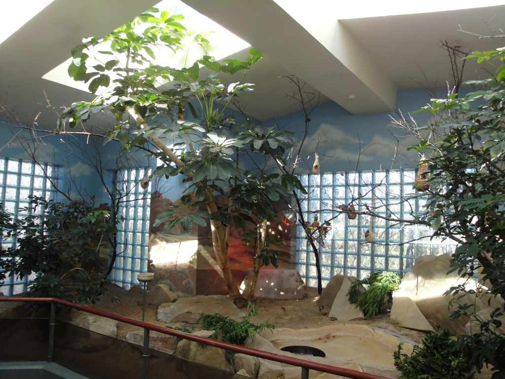 Aviary - Australian Finch Exhibit