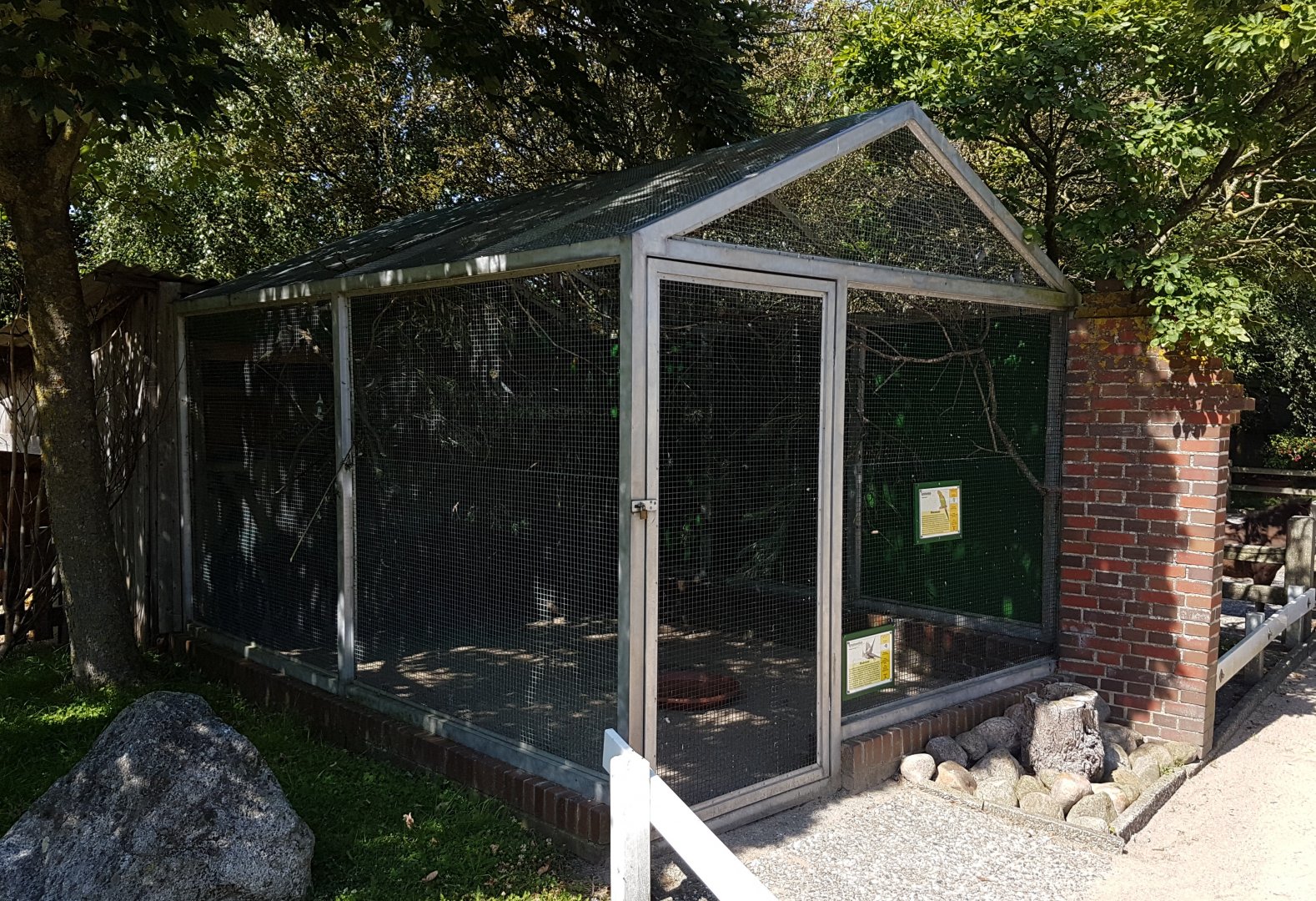 Aviary Australian parakeets