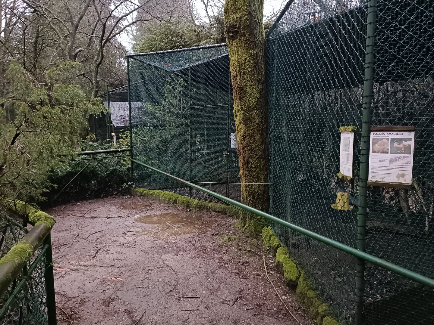 Aviary - Avifauna lugo