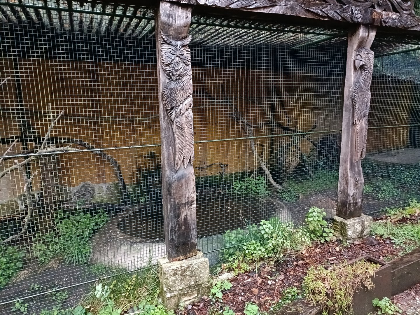 Aviary - Avifauna lugo
