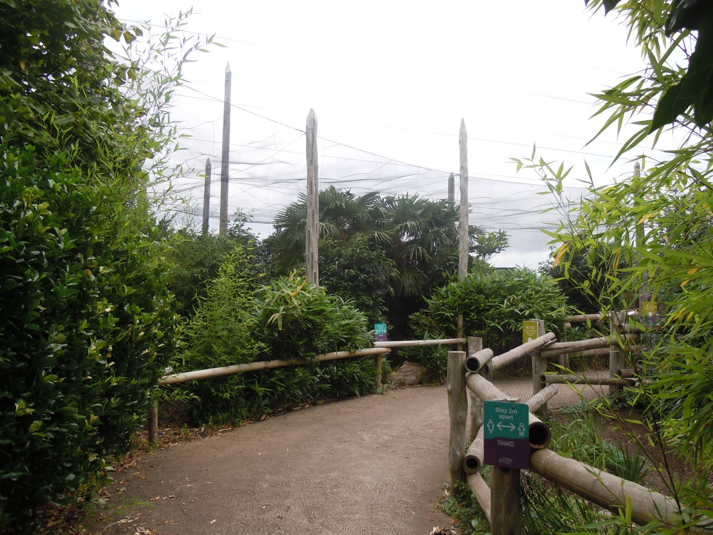 Aviary before Elephants of the Asian Forest 110920