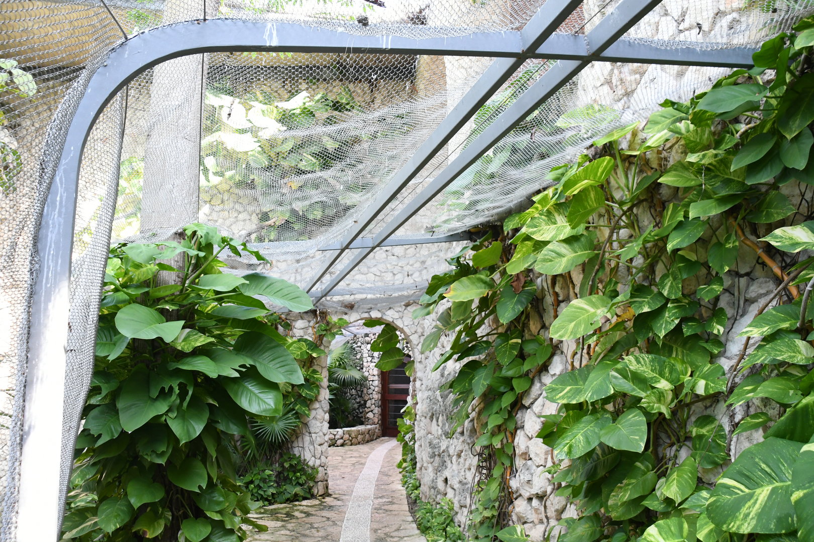 Aviary (Birds of Prey section)