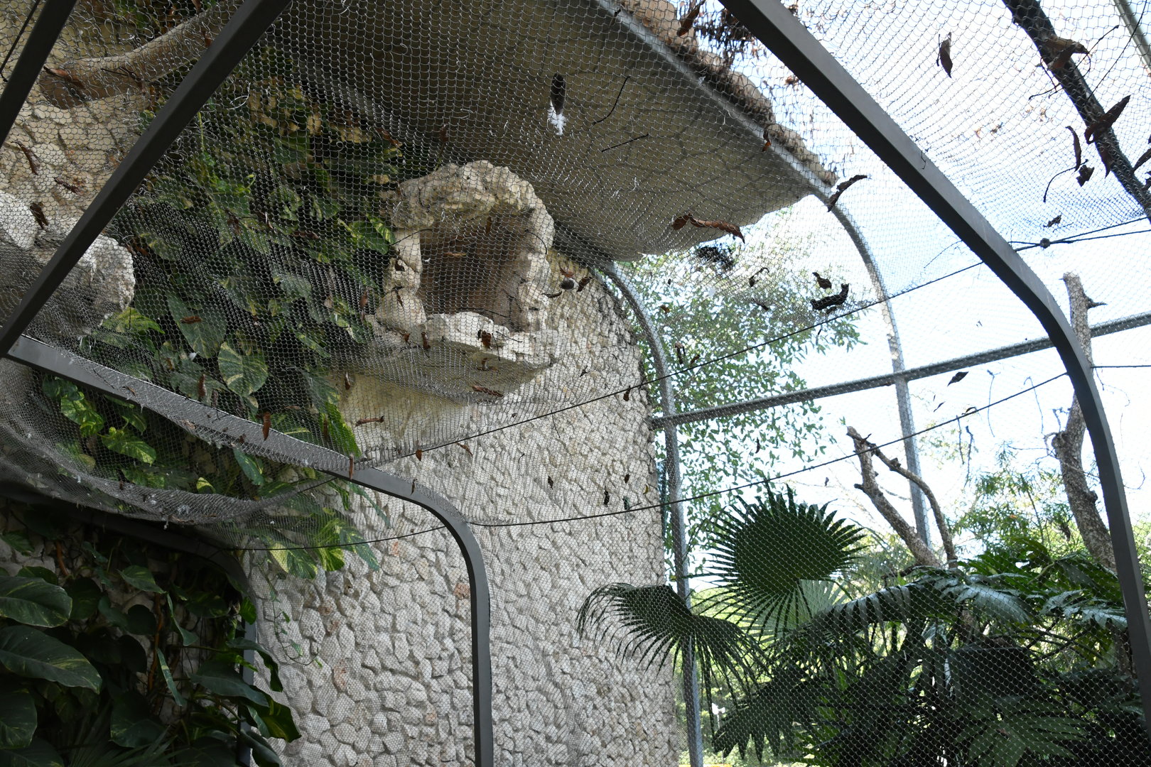 Aviary (Birds of Prey section)