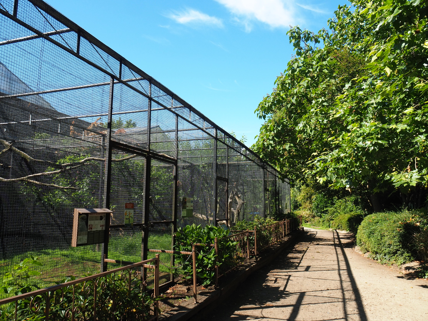 Aviary block with parrots and other birds, 2020-06-20