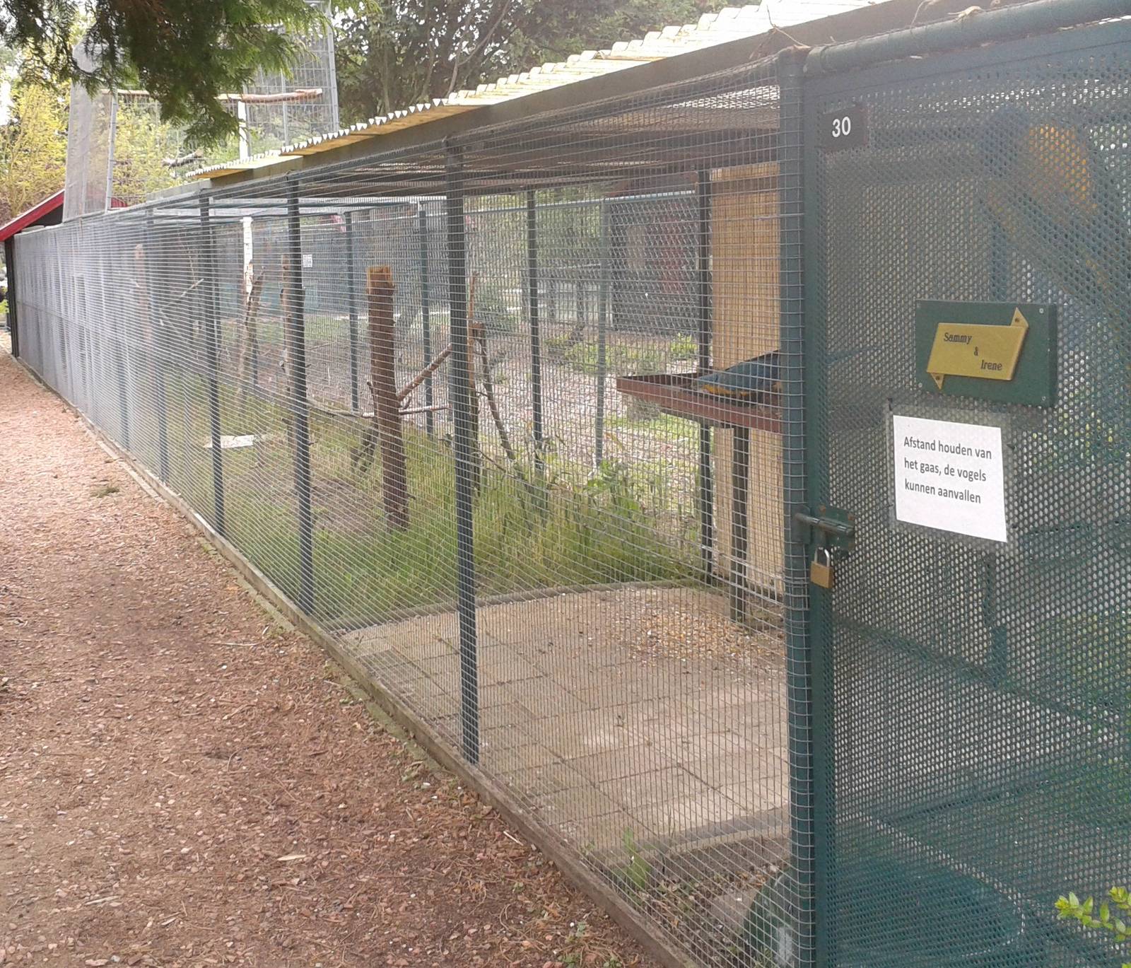 Aviary Blue-and-gold macaws