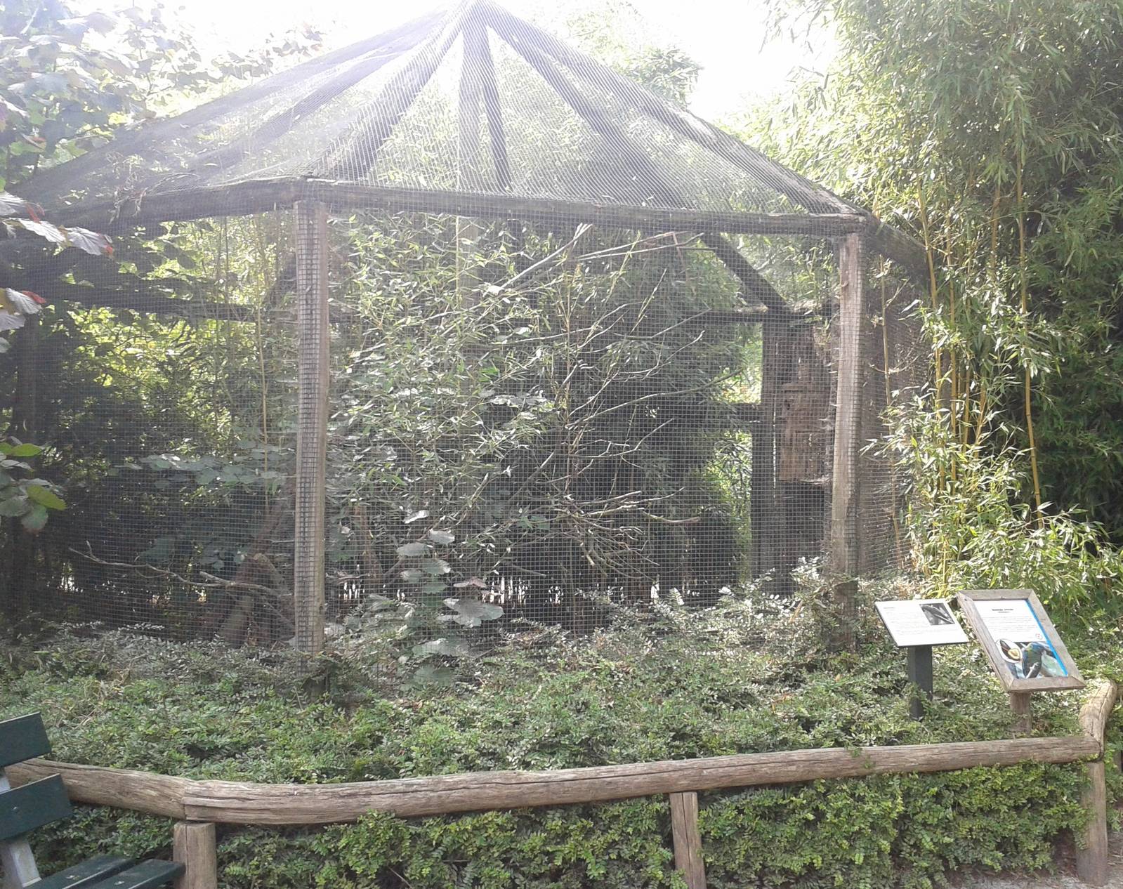 Aviary Blue-headed macaws