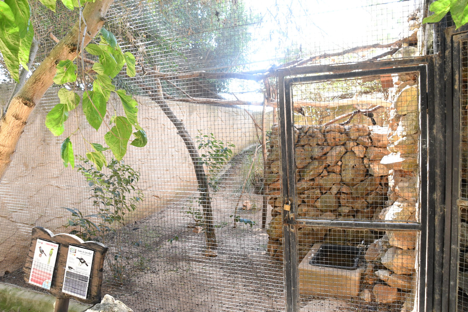 Aviary (Blue-throated Piping Guan, Green Magpie)