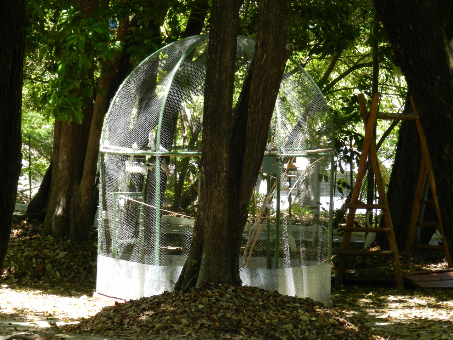 Aviary - Bosque dos sonhos park and mini zoo (João Pessoa)