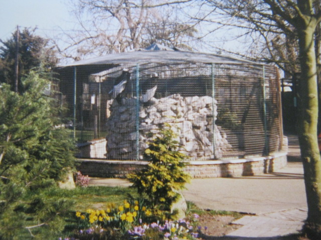 Aviary by entrance. 12/3/90.