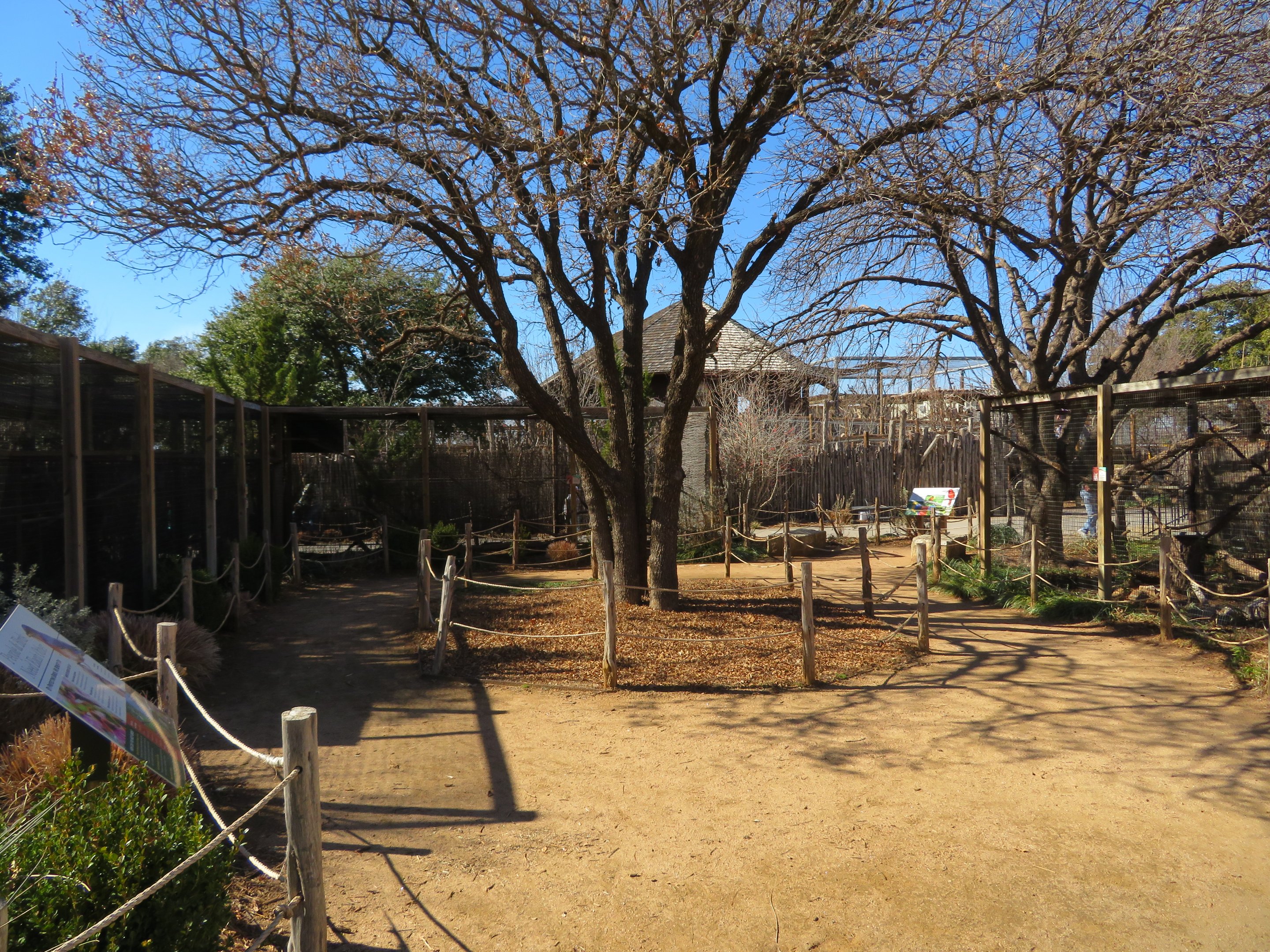 Aviary Circle (5 species)