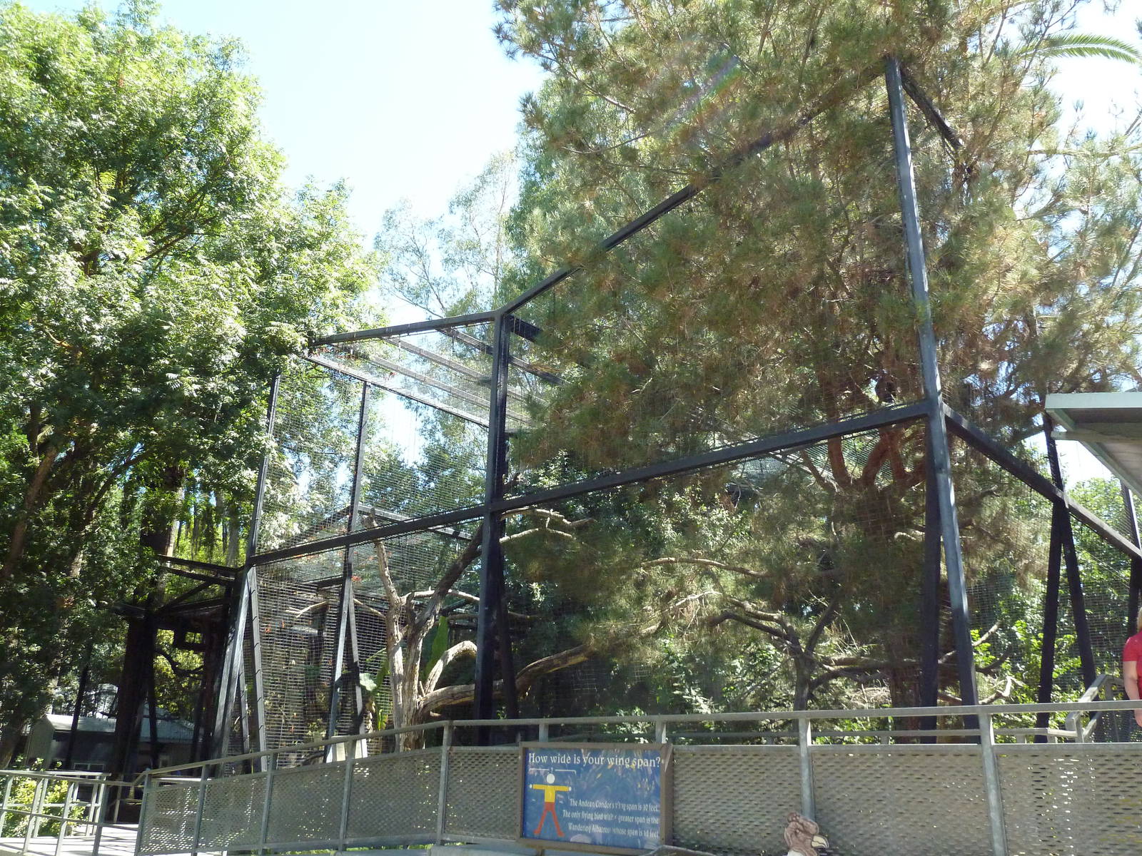 Aviary Complex (3 Exhibits)