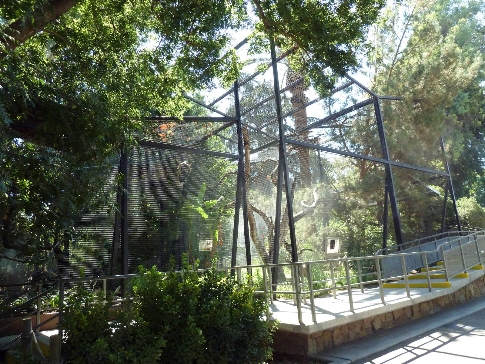 Aviary Complex (3 Exhibits)