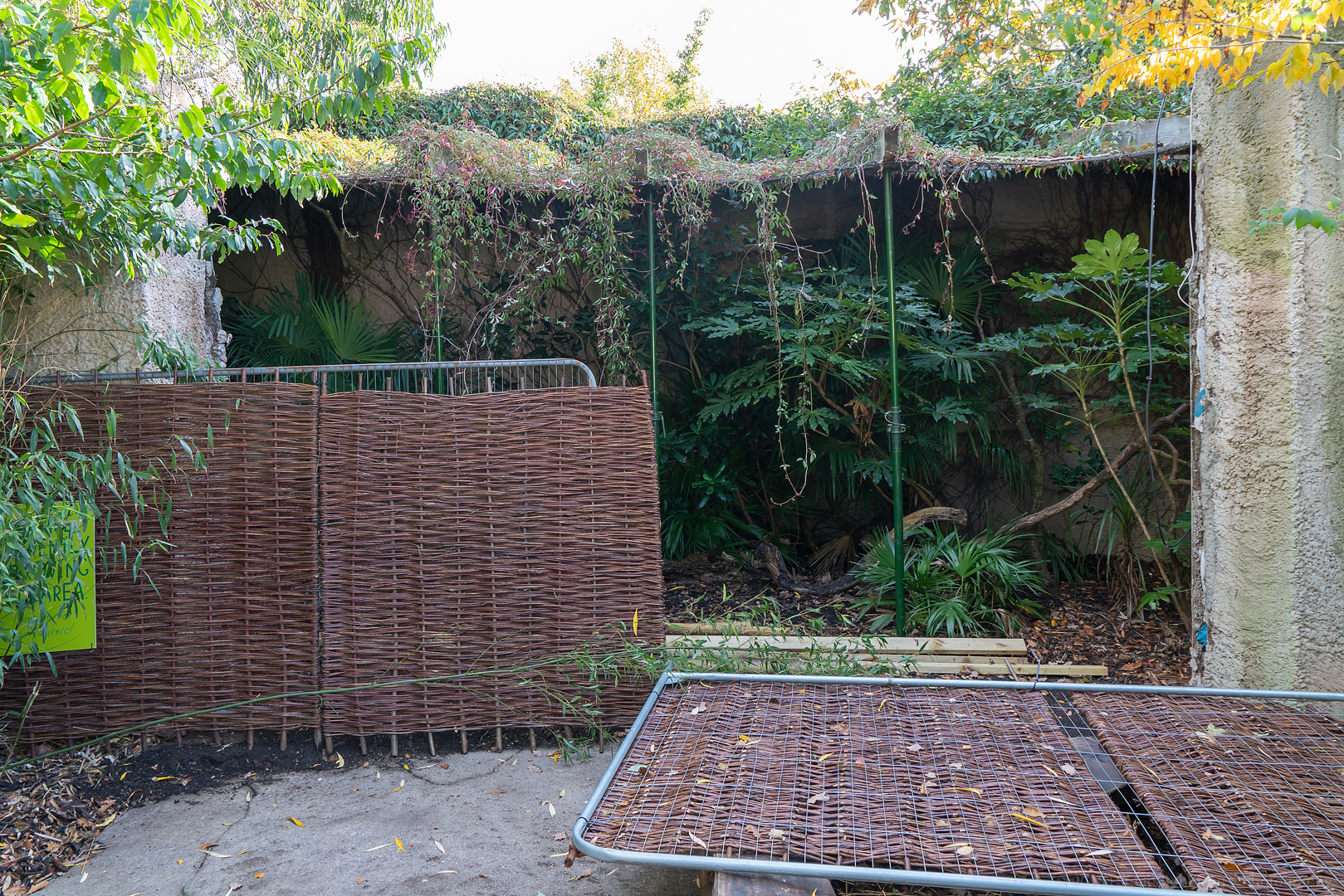 Aviary Development - 27/10/2018