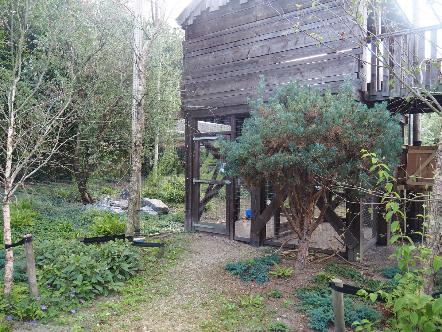 Aviary entrance, storage and smaller side aviary underneath hunting cabin-themed viewing area, 2022-08-28