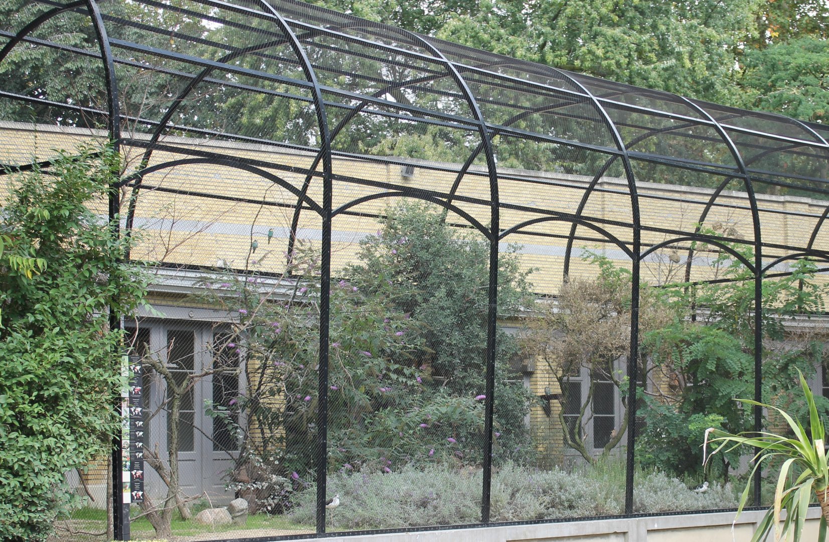 Aviary European / African birds