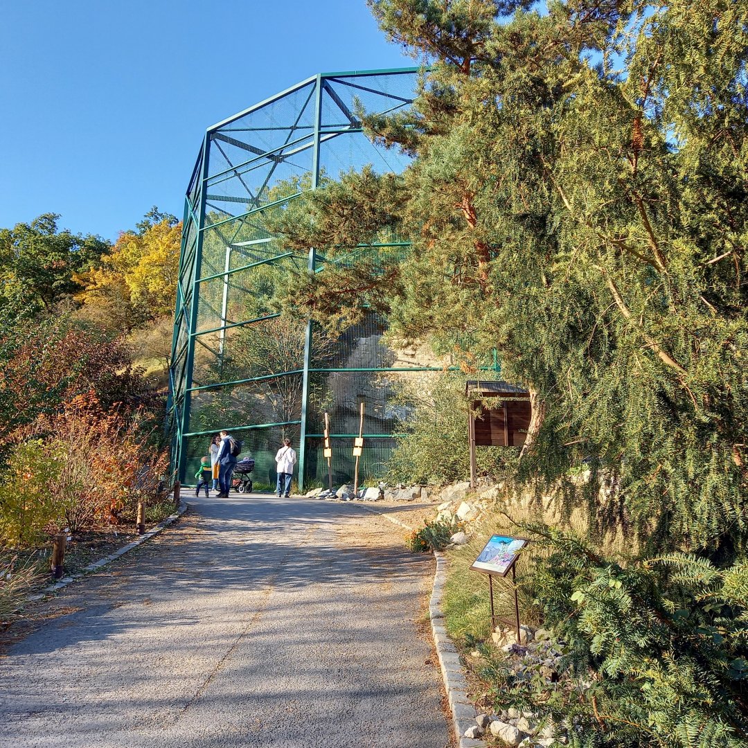Aviary European birds