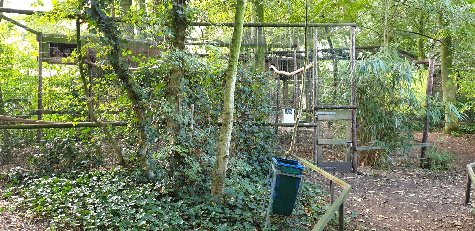 Aviary European eagle-owl