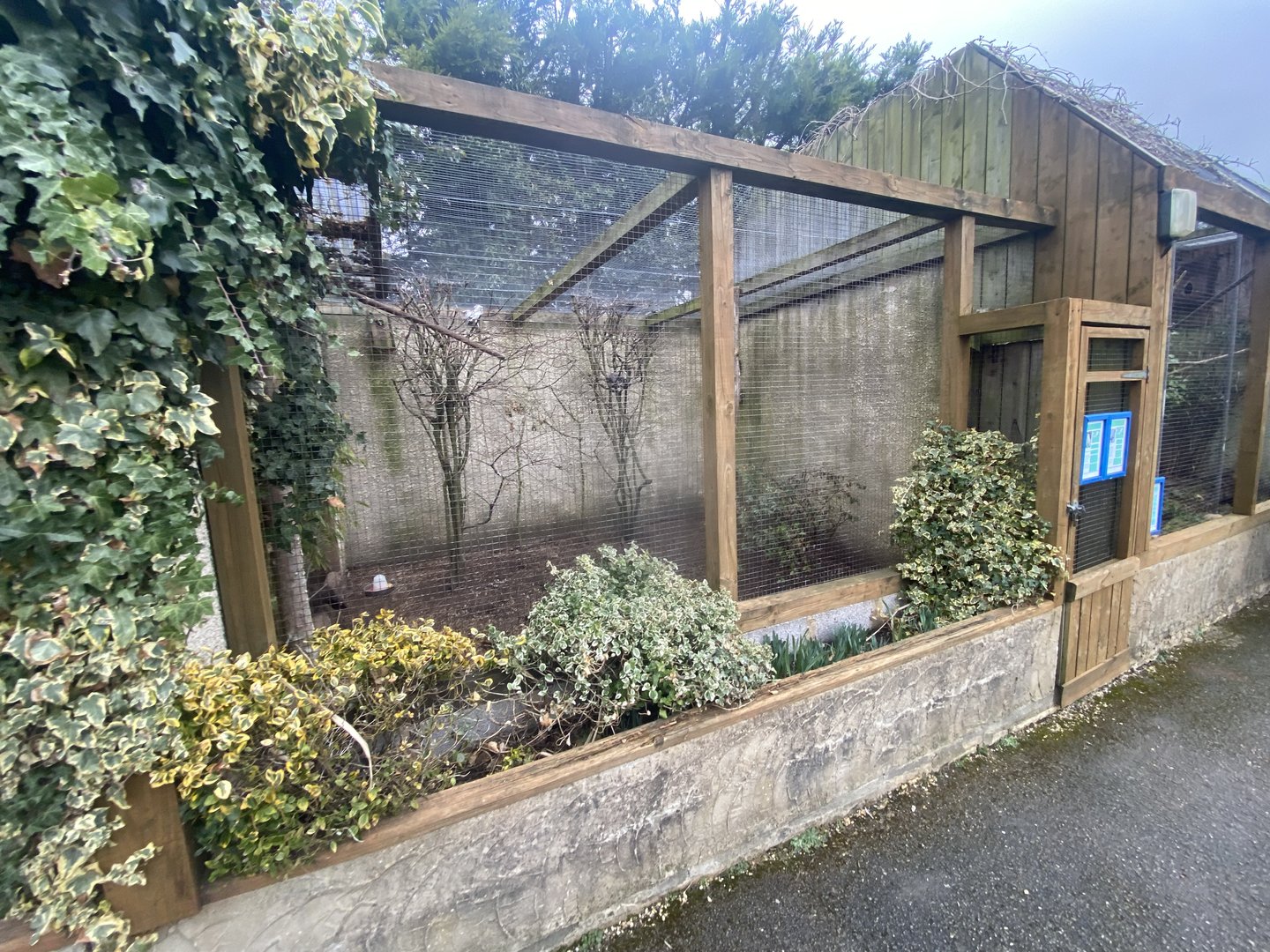 Aviary example 010323