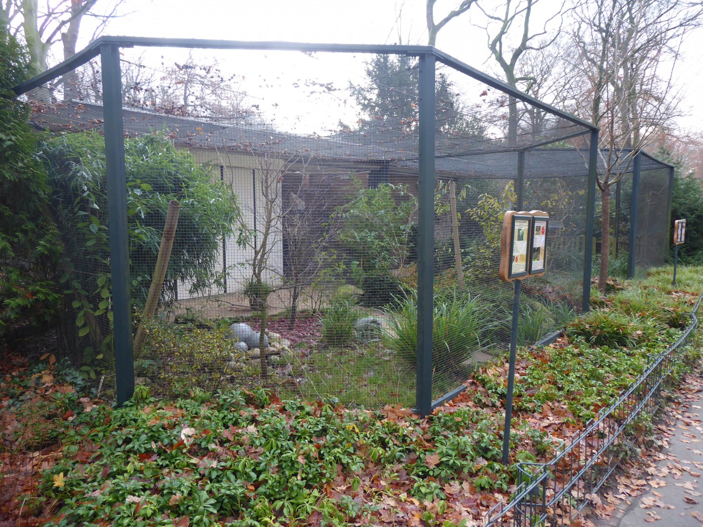 Aviary example 021219