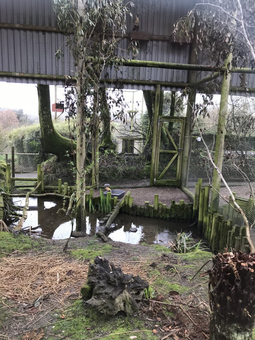 Aviary example 150418