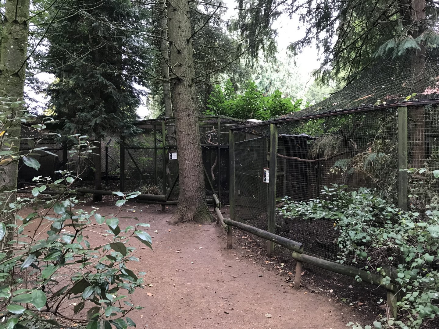 Aviary examples 071019